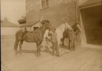 Fredericksburg Brewery Horses & Grooms