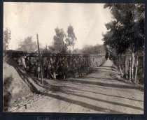 "Trestle On Line of The San Jose and Los Gatos Interurban Road"