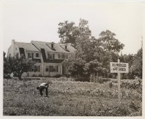 Polhemus house and Neighborhood War Garden