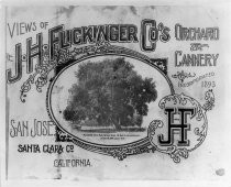 "Views of the J.H. Flickinger Co's Orchard & Cannery"