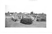 Municipal Rose Garden