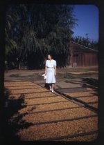 "Margaret between trays of drying walnuts, Fall 1942"