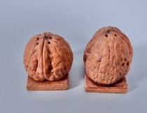 Walnuts salt & pepper shakers