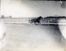 Trotting horse race, 1911