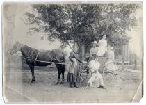 Family posing on horse-drawn cart with dog