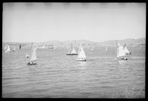 Sailboats in bay