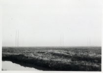 View of baylands/marshes