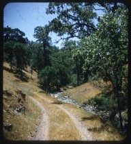 Tracks next to gravel creekbed in foothills