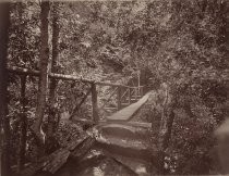 Near Mount Hermon, Felton, Santa Cruz Mountains (Calif.)