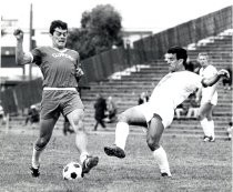 Trond Hoftvedt