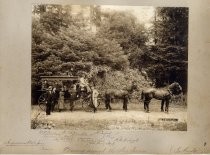 Driving Around the Big Basin: La Honda, near Pescadero, June 1900