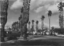 View of Hanchett Park, San Jose, circa 1945