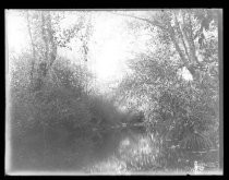 "San Lorenzo River, near Felton, Oct. 1916"