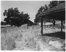 The Dairy, north of Metcalf Road - General View