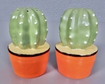 Cacti salt & pepper shakers