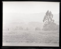 Jack London at desk, rural scene