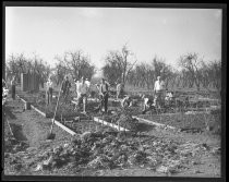 San Jose Municipal Rose Garden construction