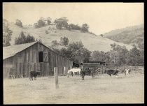 Carmons Ranch, New Almaden Ranch, 1918