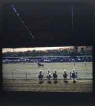 Mounted horseback riders at San Benito County Fairgrounds