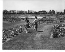 San Jose Municipal Rose Garden, 1947