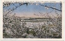 Blossom Time in The Valley of Heart's Delight, Santa Clara Valley