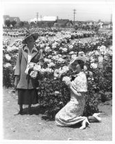 "Mrs. Carl Beard and Miss Doris Robinson, Rose Garden, Hoover Rose, 1937"