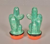 Saguaro cacti salt & pepper shakers