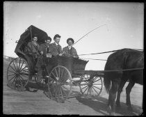 Four men in a horse-drawn carriage