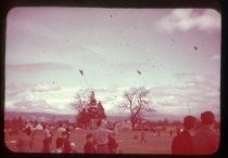 "Kite Day Willow Glen Spring 1950"