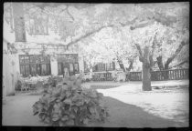 Hotel or club terrace under trees