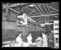 Bread Conveyor, Sunlite Bakery