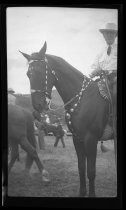 Al Kearney on horseback at Reno Rodeo