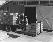 "Home Plant - Unloading boxes of dried fruit"