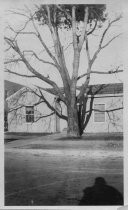 Markham House Cottage