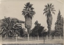 "View of Palms on the car line, East San Jose, California"