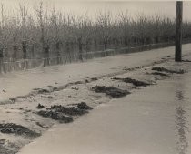 Flood of Guadlalupe, 1958