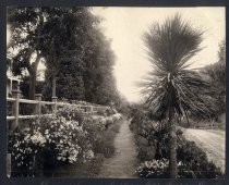 "Flowers in front of Saratoga Hotel Saratoga Springs near the S. J. & L. G. Interurban line"