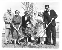 Municipal Rose Garden tree planting