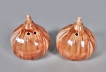 Onions salt & pepper shakers