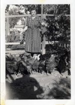 Rita DaSilva Lewis feeding chickens