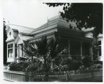 Victorian house, corner lot, fan palm