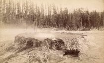 Geyser crater at Yellowstone National Park