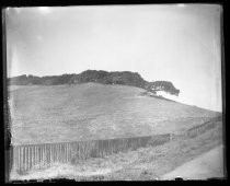 Row of cypress trees on a hill, along a dirt road