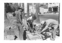 Erecting the wall around Pellier Park