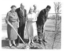 Municipal Rose Garden tree planting