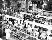 Cannery workers