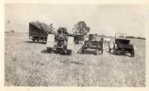 Threshing activity, Evergreen, California