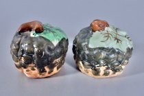 Gourds salt & pepper shakers