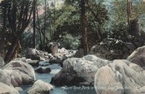 Alum Rock Park in Winter, San Jose, Cal