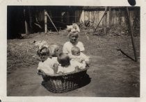 The Stumble sisters seated in a basket